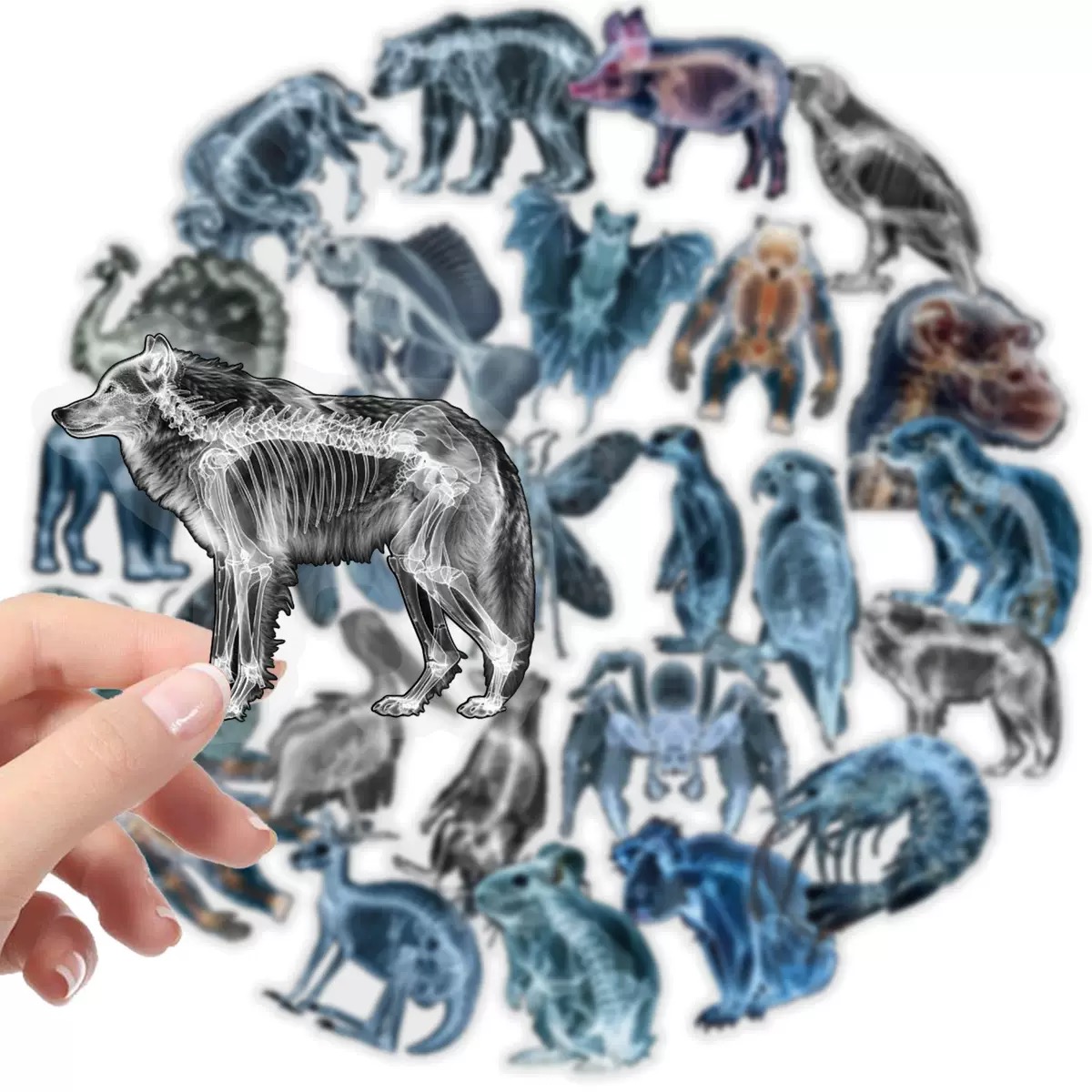 10/56 szt. Naklejki ze szkiele – Kids Xray Toys recenzja i cena